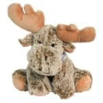 Soft and sweet moose