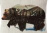 Rustic bear cushion cover