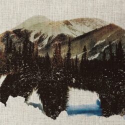 Rustic bear cushion cover