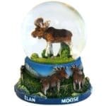Colorful snow globe with moose