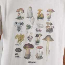 T-shirt Stockholm Vintage Mushroom Off-White