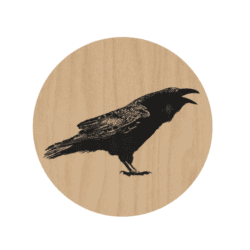 Nordic Coaster The Raven