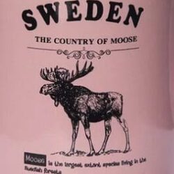 Pink Story Mug Moose