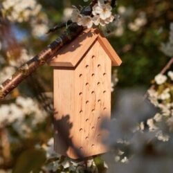 Bee hotel in alder wood