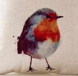 Abstract Robin Bird Cushion Cover