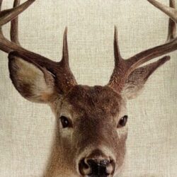 Deer Cushion Cover