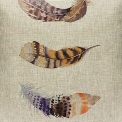 Natural Feather Cushion Cover