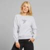 Sweatshirt Ystad Raglan Hummingbird Grey