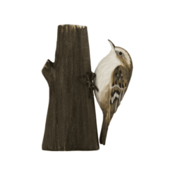 DecoBird Common Treecreeper