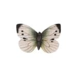 Magnet Butterfly Large White