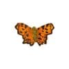 Magnet Butterfly Comma
