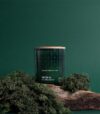SKOG Scented Candle 200g Special Edition - Image 2