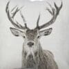 Retro Deer Cushion Cover - Image 2