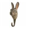 Hook Mountain Hare