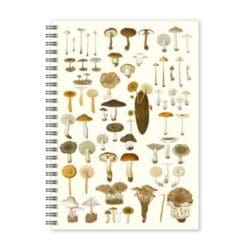 Notebook Mushrooms A5