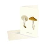 Greeting Card Deceiving Knight Mushroom