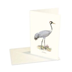 Greeting Card Common Crane