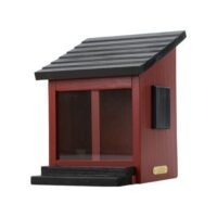 Squirrel Feeder Red