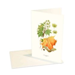 Greeting Card Maple