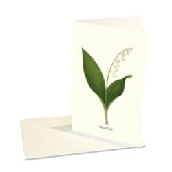 Greeting Card Lilly of the valley
