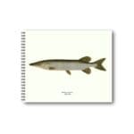 Anteckningsbok Gädda
