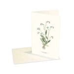 Greeting Card Forget-Me-Not