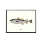 Poster Cod 30x40 cm