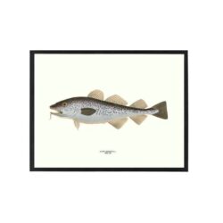 Poster Cod 30x40 cm