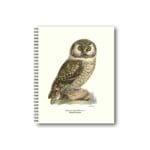 Notebook Boreal Owl 21X26 CM