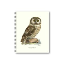 Notebook Boreal Owl 21X26 CM