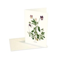 Greeting Card Viola