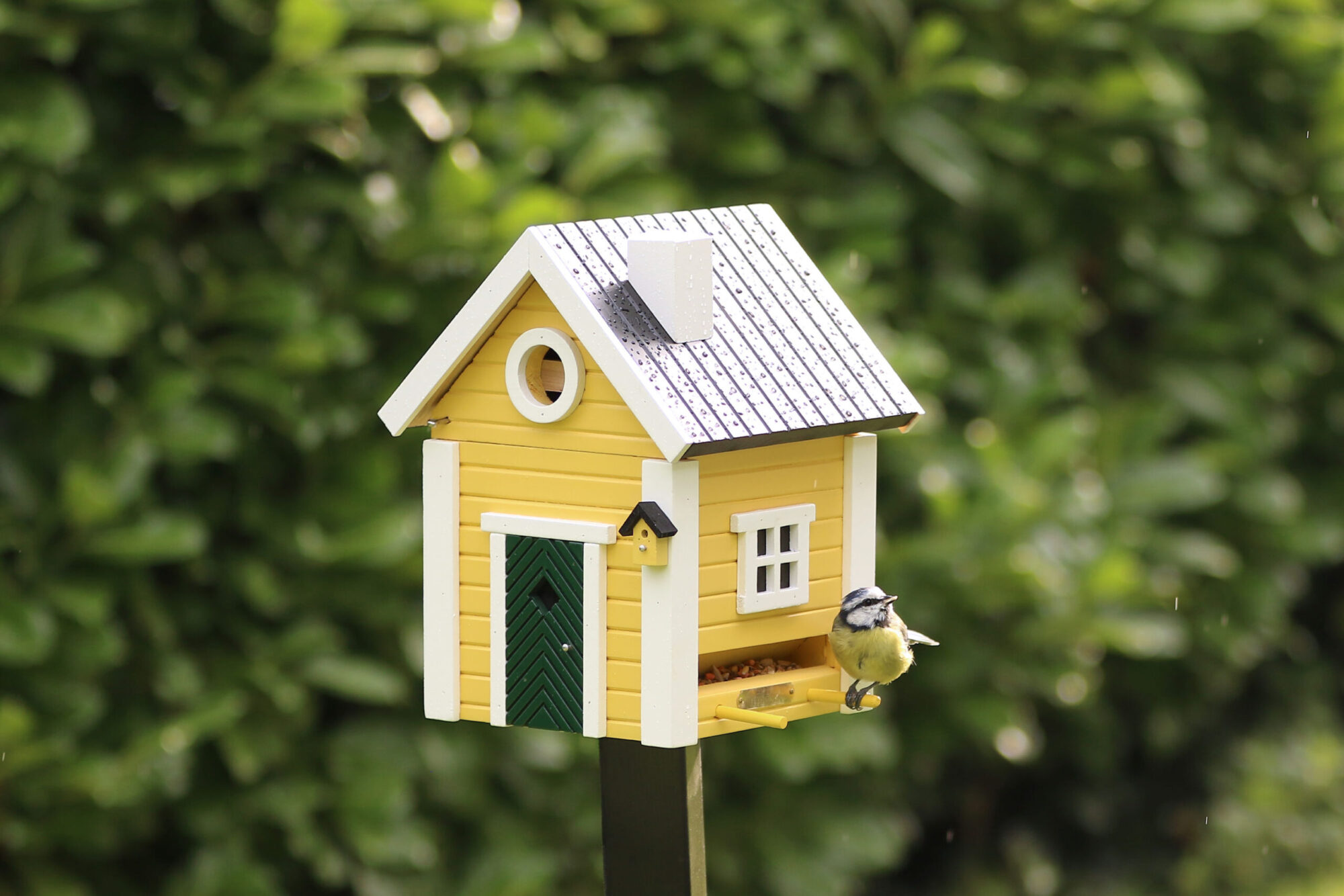 Multiholk Yellow Cottage - Image 7