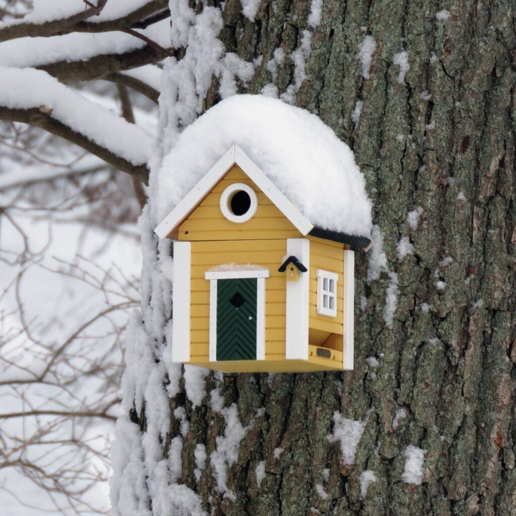 Multiholk Yellow Cottage - Image 5