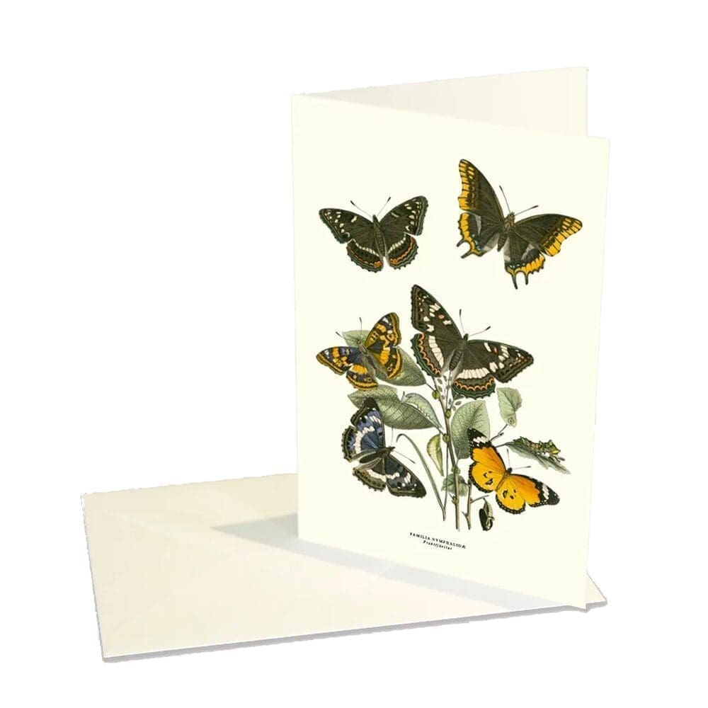 Greeting Card Butterflies