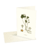 Greeting Card Cloudberry