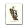 Notebook Great Spotted Woodpecker 30x40 cm