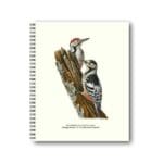 Notebook White-backed Woodpecker 21x26 CM