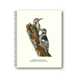 Notebook Great Spotted Woodpecker 30x40 cm