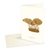 Greeting Card Clitocella Popinalis