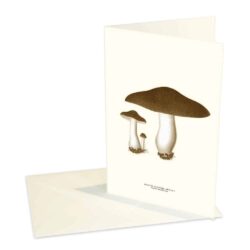 Greeting Card Clouded Agaric