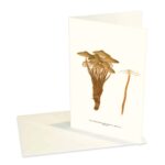 Vikt Kort Rynkhätta