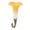 Hook Chanterelle