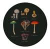 Mushroom Tray Ø38