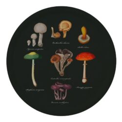 Mushroom Tray Ø38