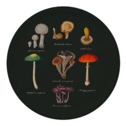 Mushroom Tray Ø38