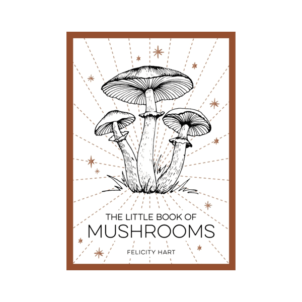 Little Book of Mushrooms