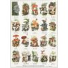 Edible Mushrooms Poster A2