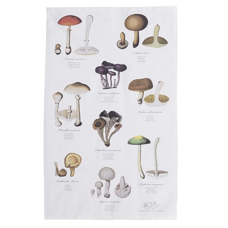 Organic Tea Towel Mushrooms