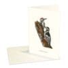 Greeting Card Woodpecker