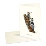 Greeting Card Woodpecker